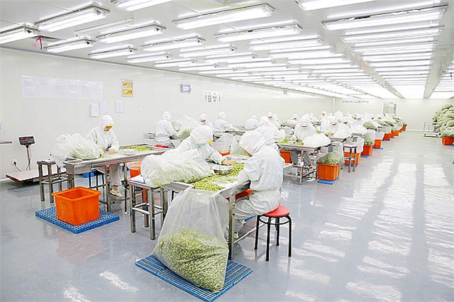 西安凈化工程是什么？施工過程中要注意什么？